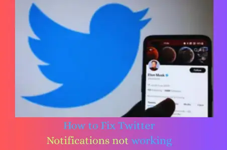 How to Fix Twitter Notifications not working